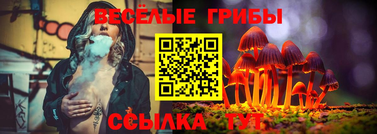 Галлюциногенные грибы мицелий Мытищи